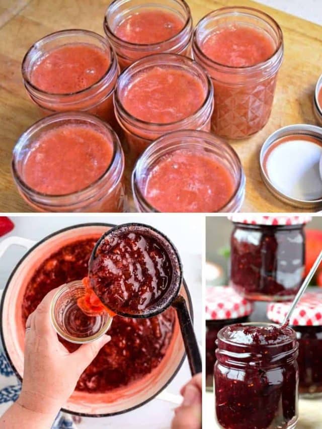 Rhubarb Jam Canning Recipes To Stock Your Pantry
