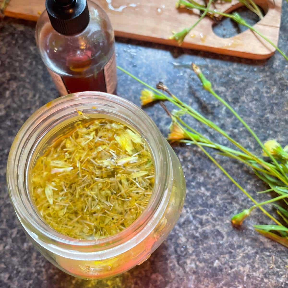 How to Make Dandelion Tea From Scratch - An Off Grid Life