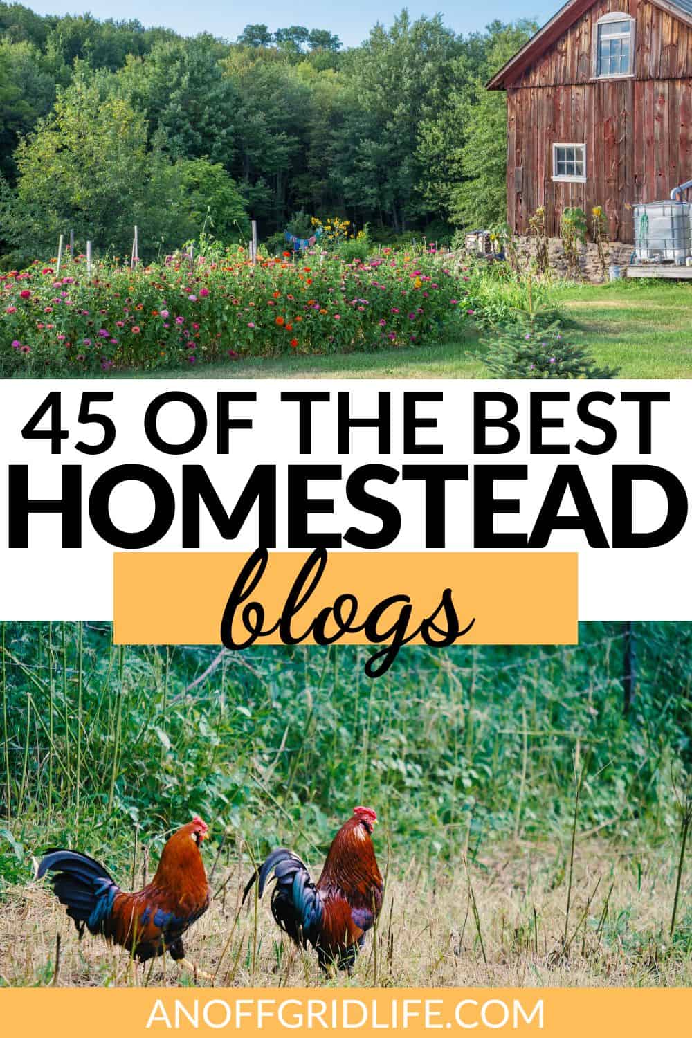 45 Best Homestead Blogs for 2024
