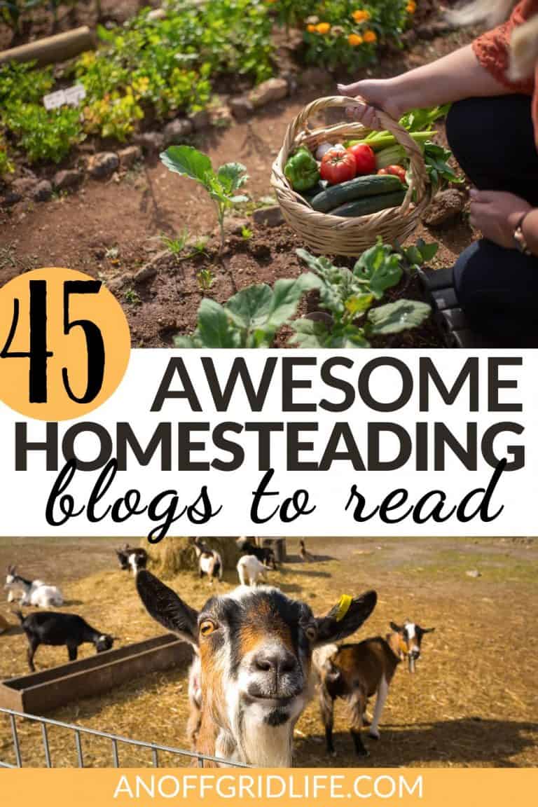 45 Best Homestead Blogs for 2024