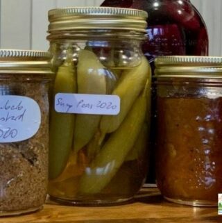 4 ball mason jars with different preservatives and golden lids.