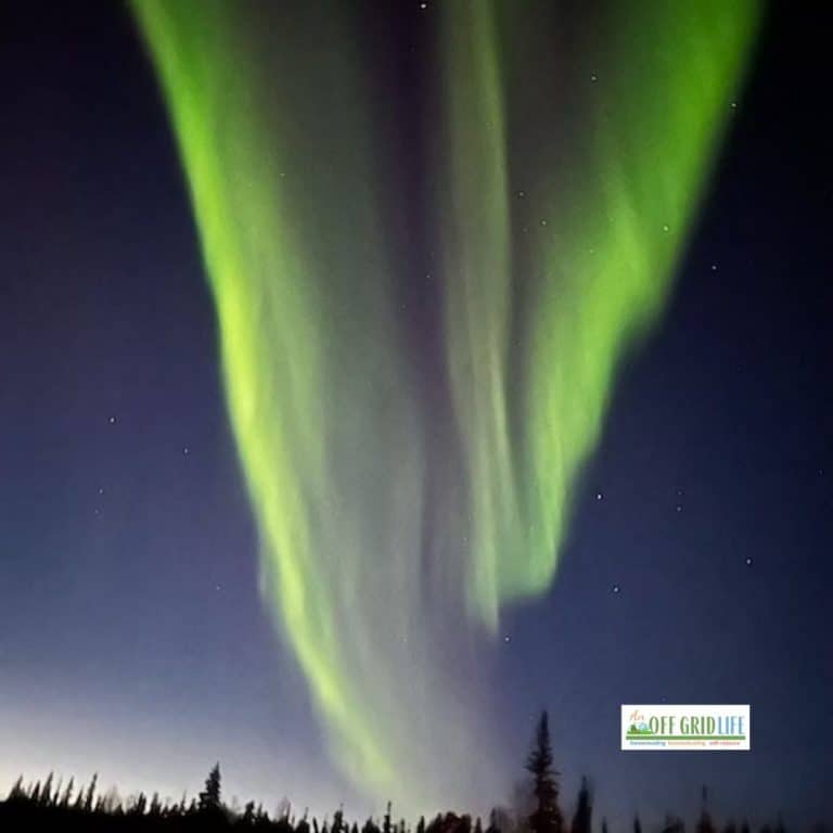 Outdoor Education Activities for Kids: 10 Ways to Explore the Night Sky